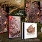 Brigandine: The Legend of Runersia (Collector's Edition) [Nintendo Switch]